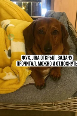 Dachshund dog resting on a cushion with a humorous Jira task caption