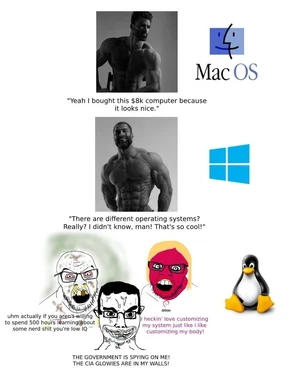 humorous comparison of macos, windows, and linux operating systems