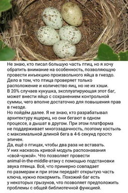 bird eggs in nest with russian text about software bugs