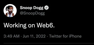 Snoop Dogg meme: Working on Web6