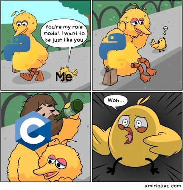 Big Bird and Little Bird C Programming Language Meme