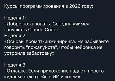 2026 programming courses meme