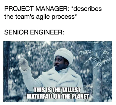 senior engineer reaction to agile process description