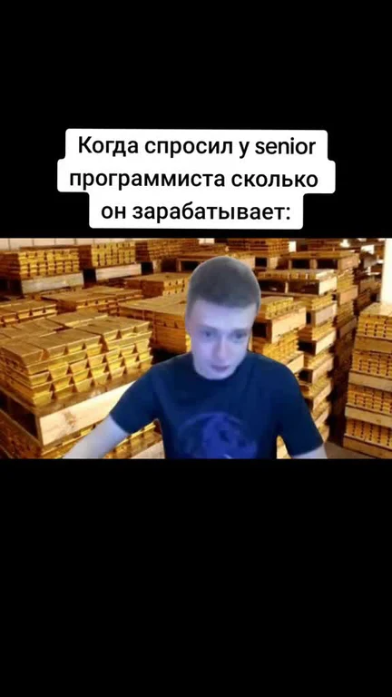 Man in a blue shirt standing in front of gold bars with a caption about senior programmer salary