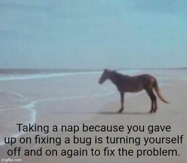horse standing on beach taking a nap