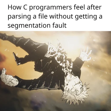 C programmer ecstatic after parsing a file without segmentation fault
