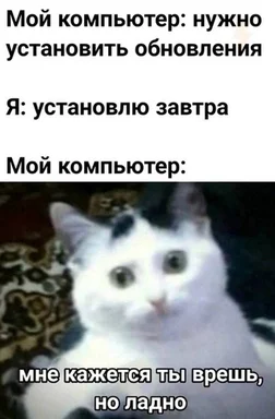 cat looking skeptical