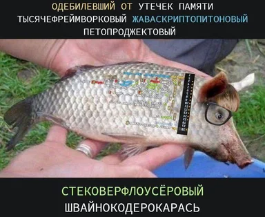 Fish with coding overlay and glasses, humorous meme about programming