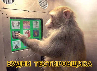 monkey testing software