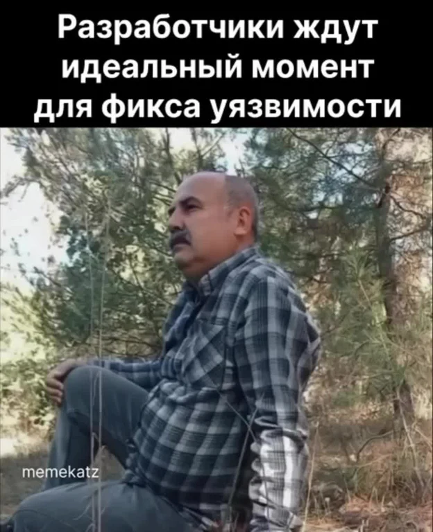 Разработчики ждут идеальный момент для фикса уязвимости