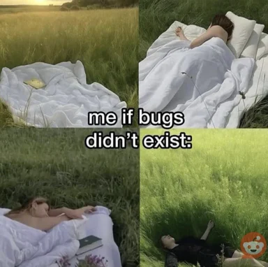 meme about sleeping outside without bugs