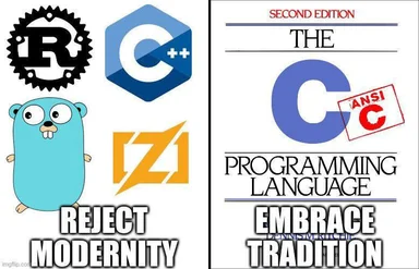 a meme comparing modern and traditional programming languages