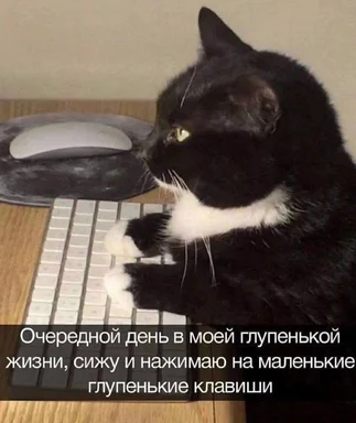 Black cat sitting at a keyboard with a computer mouse next to it