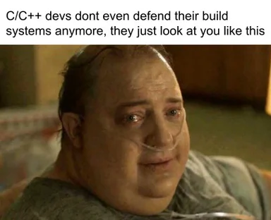 C/C++ developers reaction to build systems