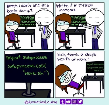 cartoon of office worker frustrated by a coworker's python solution to dislike of a bash script