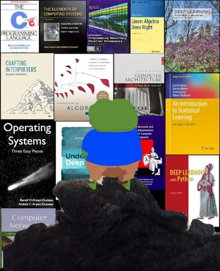 Bear in a blue shirt looking at computer science textbooks