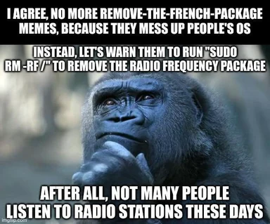 A thoughtful gorilla with a caption about a Linux command joke