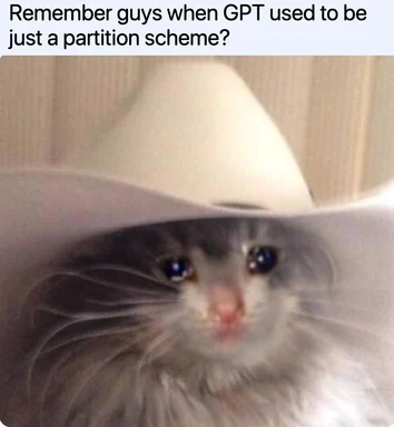 cat wearing cowboy hat looking surprised