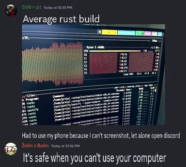 meme image of a computer screen showing a long build time for a Rust program