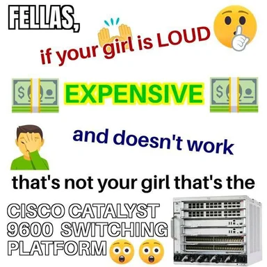 Cisco Catalyst 9600 Switching Platform meme with a humorous comparison to a loud, expensive, and non-working girlfriend