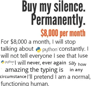 humorous text about a person wanting to be paid $8,000 to stop talking about python programming