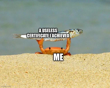 A crab holding a fish labeled 'A USELESS CERTIFICATE I ACHIEVED' with the label 'ME' on the crab.