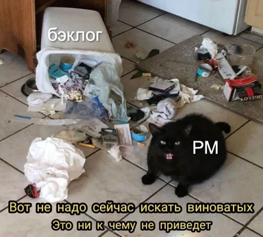 Black cat sitting on a messy floor with trash around, labeled 'PM', with a trash can labeled 'backlog'