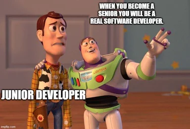 toy story characters woody and buzz lightyear with text 'when you become a senior you will be a real software developer. junior developer'