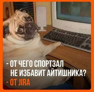 Pug sitting at a computer with a confused expression and text in Russian about Jira