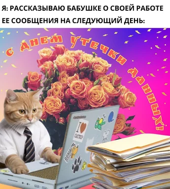 cat at laptop with roses and papers