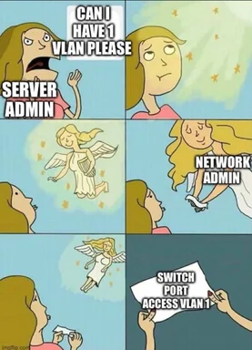 Six-panel cartoon comic where an angry server admin begs for a VLAN, a glowing angel labeled network admin descends, and the