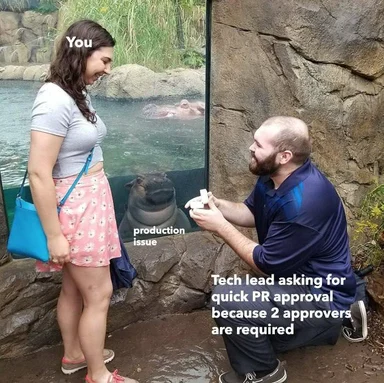 man proposing with a ring to a woman at a zoo while a hippo looks on with text about tech lead asking for quick PR approval