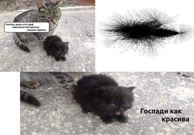 kitty reaction to complex software dependency graph