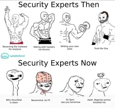 security experts then vs now meme