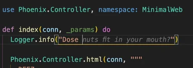 Code snippet with humorous logging statement