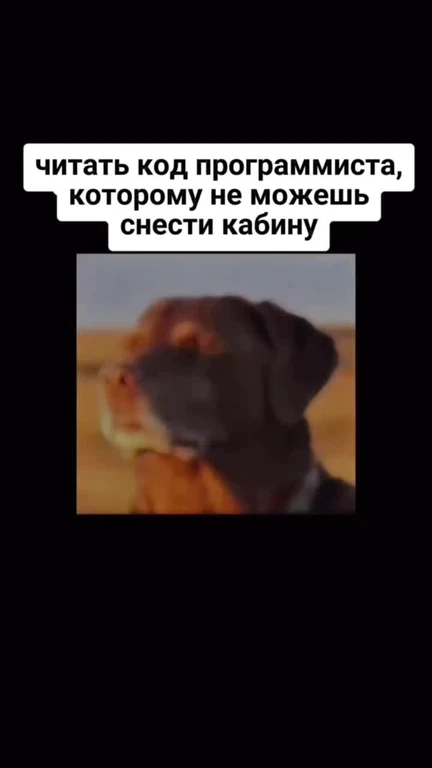 Dog looking puzzled with caption about reading another programmer's code