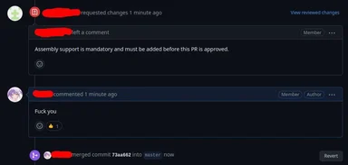 angry comment on code review
