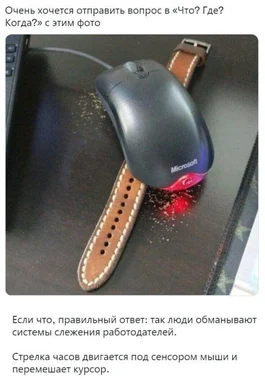 a mouse with a watch strap attached to it