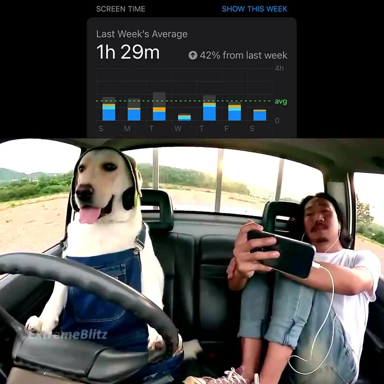 Dog wearing headphones drives while man checks phone