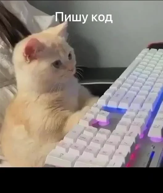 A white cat sitting at a computer keyboard with a puzzled expression