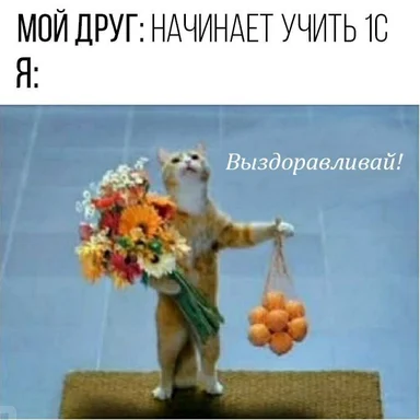 cat figurine holding flowers and oranges with russian text