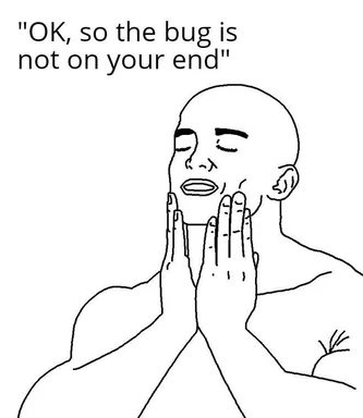 Meme of a man looking relieved with hands on his face, captioned 'OK, so the bug is not on your end'
