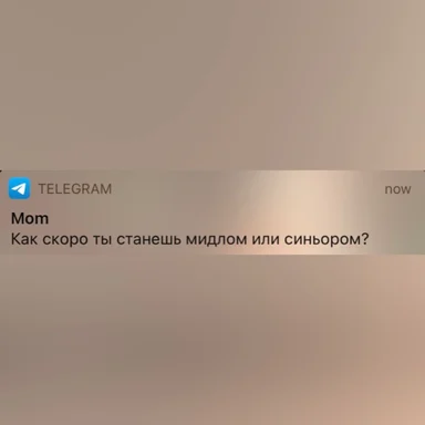 Telegram conversation with mom asking when you'll become a middle or senior dev