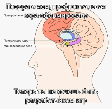 Brain illustration with labeled parts and humorous text about game development