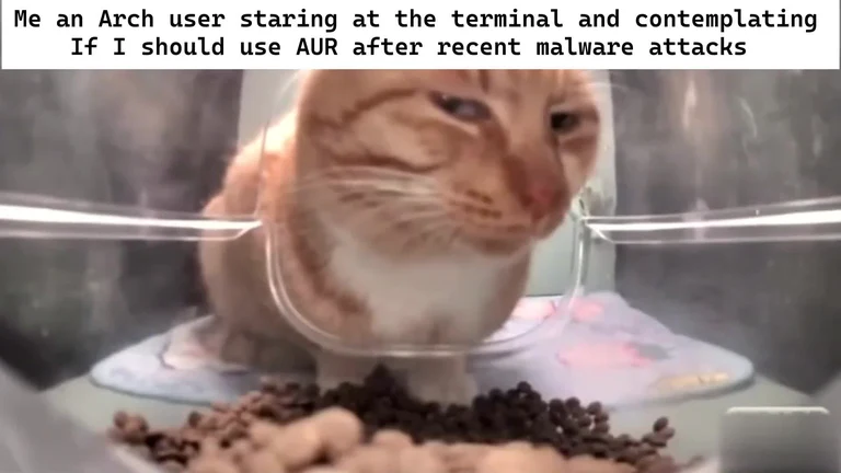 cat staring at food through plastic with concerned expression