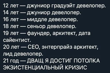 russian developer career path meme