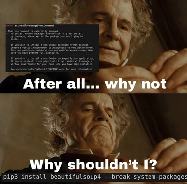 Gandalf meme: 'After all... why not. Why shouldn't I?' with pip3 install error