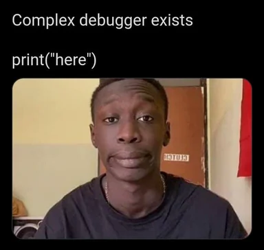 Confused developer with complex debugger