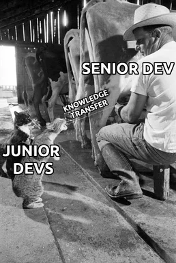 Senior dev milking a cow with two cats labeled junior devs trying to drink the milk labeled knowledge transfer