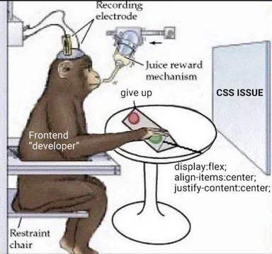 monkey in a restraint chair with a recording electrode on its head, labeled 'Frontend developer', interacting with a table with a CSS ISSUE on a screen